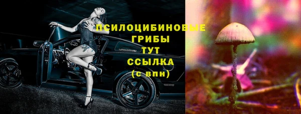 эйфоретик Алексин