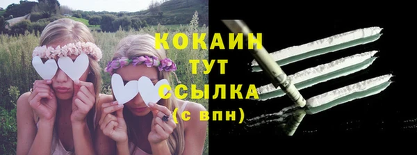 шишки Абаза