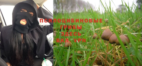 эйфоретик Алексин